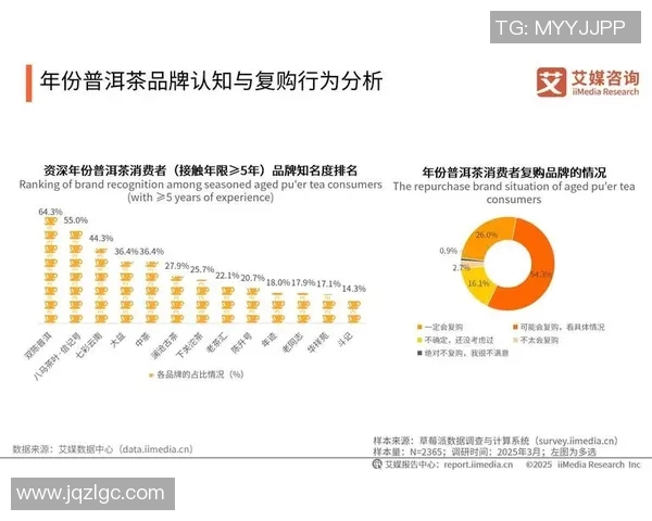 中国足球俱乐部百强榜揭晓各队实力对比与未来发展趋势分析