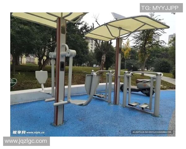 探索体育健身器材广场的多样选择与健康生活方式的完美结合